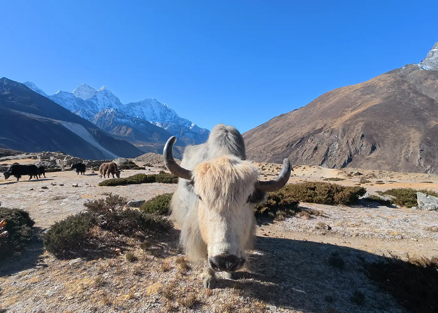Mountain scenery on the Everest Two Passes Trek